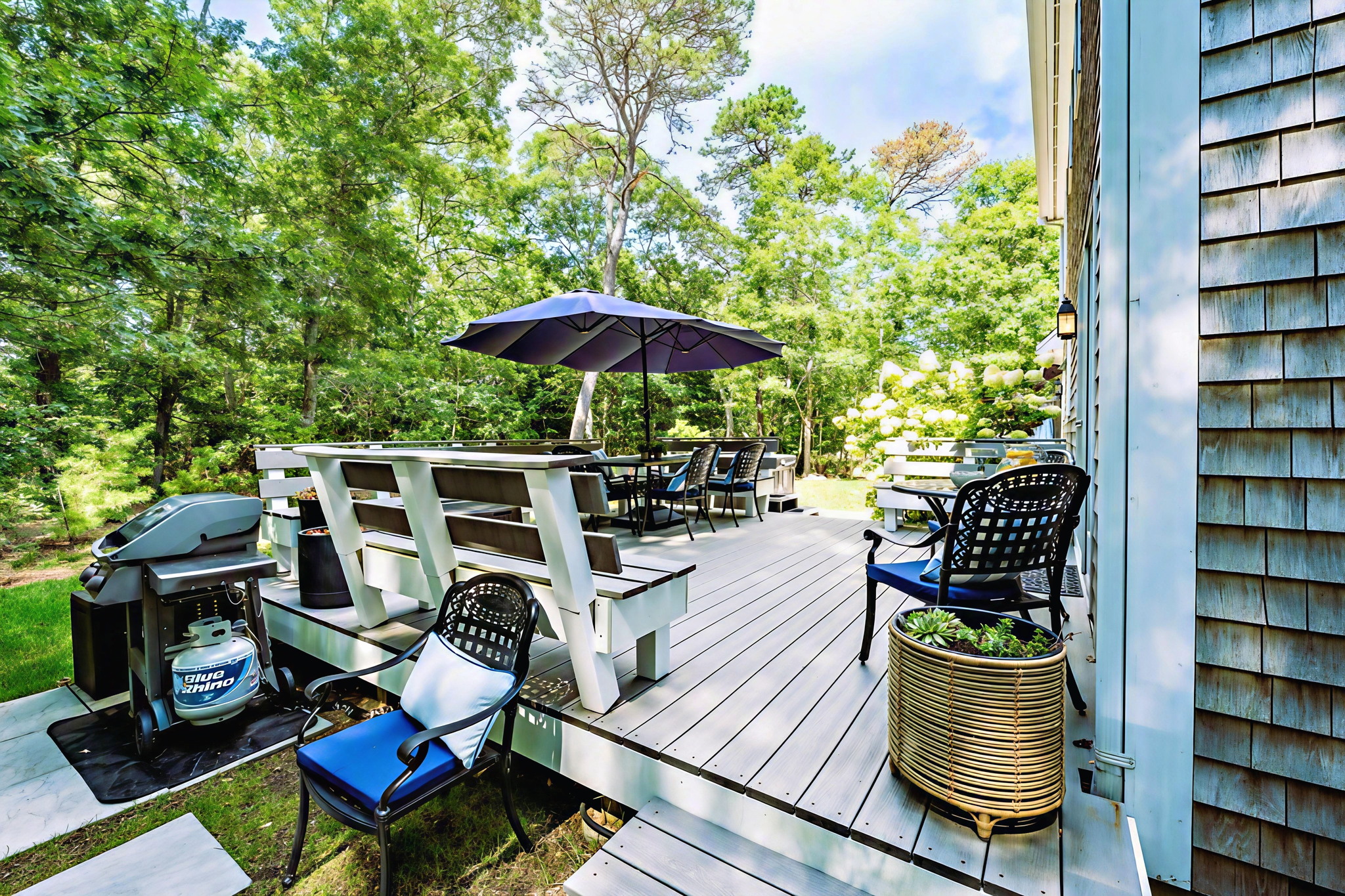Grill Station & Backyard Patio
